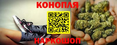 apvp Кунгур