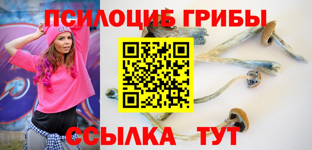 Галлюциногенные грибы Magic Shrooms  Вход с VPN  Зеленодольск 